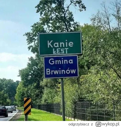 odgrzybiacz - Tak myślałem. Dzień dobry! #heheszki