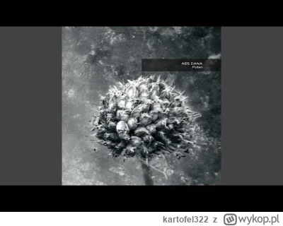 kartofel322 - aes dana - borderline

#muzyka #idm