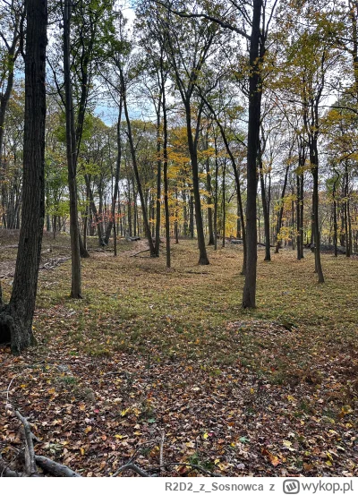 R2D2zSosnowca - @R2D2zSosnowca Harriman State Park to kolos. Prawie 200 km2 samego pa...