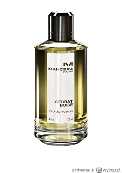 DartNorbe - Czy Mancera Cedrat Boise stworzy dobrą parę z Ambassadorem od Gisady? Szu...