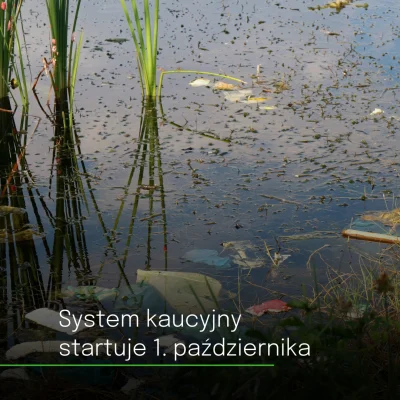 SwiatOze - 📢💧Najczystsze rzeki w Polsce łączy fakt, że przepływają przez tereny o n...