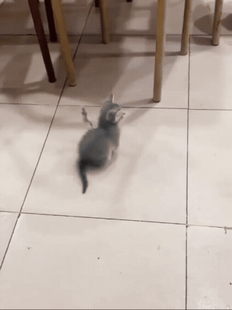 jestemtakizmeczony - @jestemtakizmeczony: