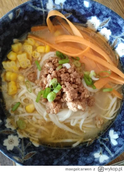 maegalcarwen - Zachciało mi się kińskiej zupki to zrobiłam tantanmena #gotujzwykopem