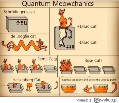 Polasz - #fizykakwantowa #heheszki