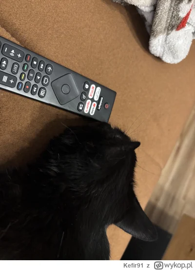 Kefir91 - @piotrek1889 zawsze istnieje ryzyko