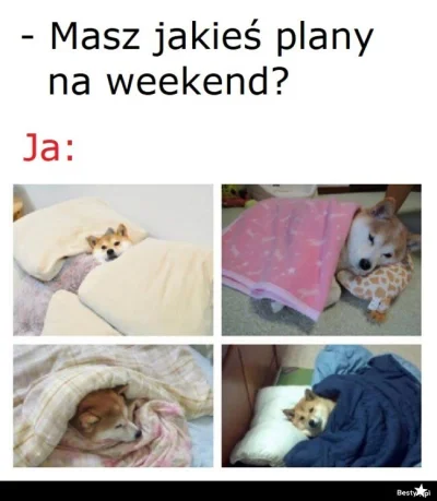 Jestem_Tutaj - . # dziendobry (งⱺ ͟ل͜ⱺ)ง