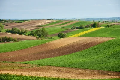 banalnyfotograf - #fotografia #majowka #polska