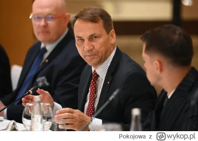 Pokojowa - Polski minister spraw zagranicznych Radosław Sikorski zasugerował, że wspa...