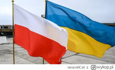 neurotiCat - Tak, Polska będzie ryzykować wojnę z Rosją dla kraju, który nie zdobył s...