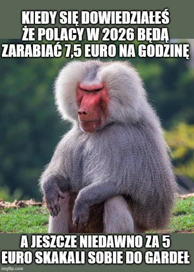 PIAN--A_A--KTYWNA - #heheszki