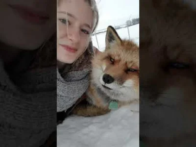 Tippler - A my co.. 

#przegryw