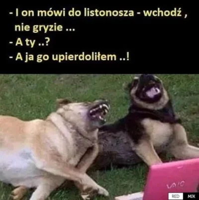 Jeff1970 - Tymczasem dziś na Krzesinach