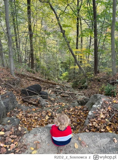 R2D2zSosnowca - @R2D2zSosnowca z cyklu #zonabijealewolnobiega