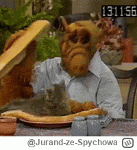 Jurand-ze-Spychowa - > nie wiem co zrobimy z 20 kotami
Proponuję skontaktować się z j...