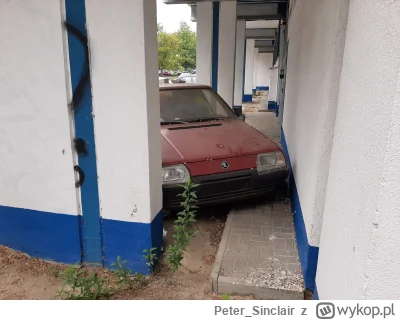 Peter_Sinclair - Dzisiejsza dawka gratów i wrostów @lonelyjunkcars

#samochody #motor...