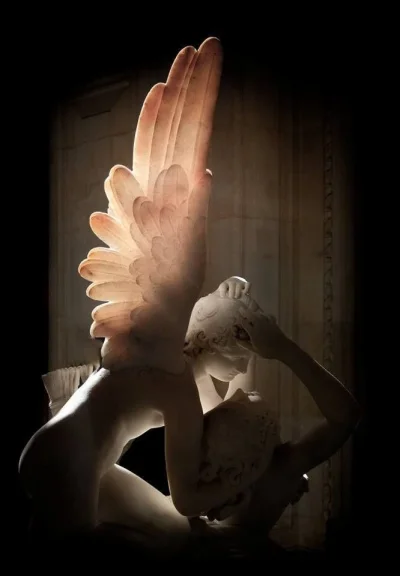 cheeseandonion - The wings of Eros in Canova's Amore E Psiche are so thin that light ...