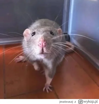 jmateuszj - #gielda #xtb #meczennicyxtb Dzień dobry, trochę się dzieje na rynkach, sz...