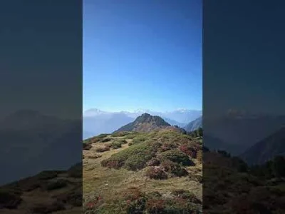 Trzesidzida - @koniolizator: (ʘ‿ʘ)