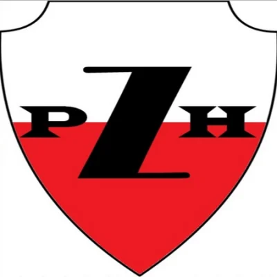 PolskiZwiazekHejterski-PZH - Wizja, aby stworzyć biznes wykorzystujący hejterstwo pub...