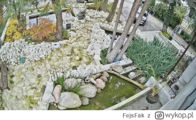 FejsFak - Jesień #stepujacybudowlaniec