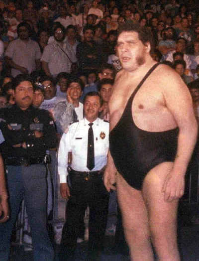 kopalnia554 - @LukasUK: jaca andre the giant