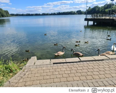 ElenaRain - (｡◕‿‿◕｡)

#spierdotrip #widoki