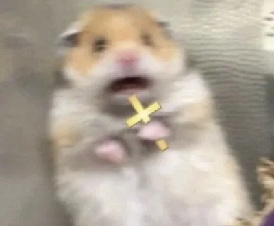 ufoLatajace - @wfyokyga: