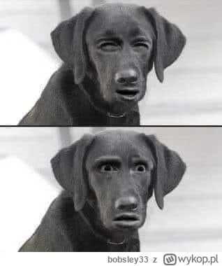 bobsley33 - @Strajk_Kobiet: