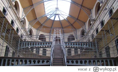 vocal - UWOLNIĆ BESTIE #danielmagical #patostreamy