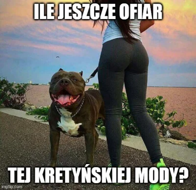 zjadam-przylepki - #psy #pitbull #polska #policja #prokuratura