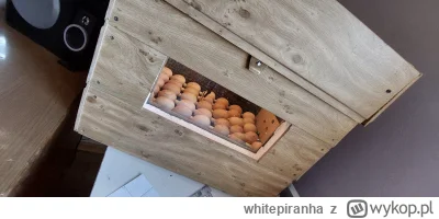 whitepiranha - chłop własnoręcznie zbudowanym inkubatorem będzie jaja grzał, śmiechu ...