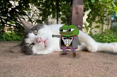 LRF1000W - @frugASS: