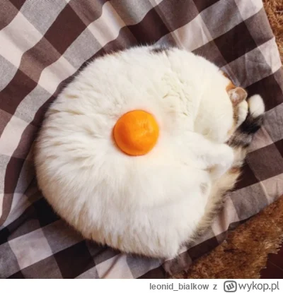 leonid_bialkow - WOŁANIE O BRZENK SZKŁA