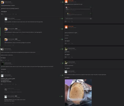 Truthsayer - No dobra, załóżmy przez chwilę, że teoria o odejściu Gerwaza przez fakec...
