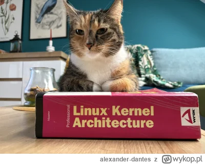 alexander-dantes - @SUPERIOR32: @Rasteris 

Podobnie, ale inne kolory.

…i jeszcze Ci...