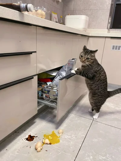 I.....a - W gotowaniu najgorsze jest to, że później trzeba posprzątać eh #gownowpis