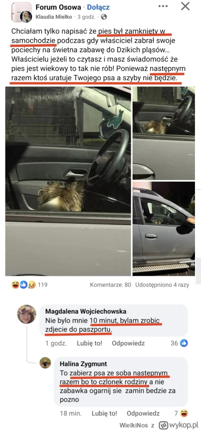 WielkiNos - Psiary grożą, że będą wybijać szyby w samochodach jak zobaczą w środku ps...