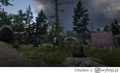 Ethellon - #gry #rdr2 #ethellongry