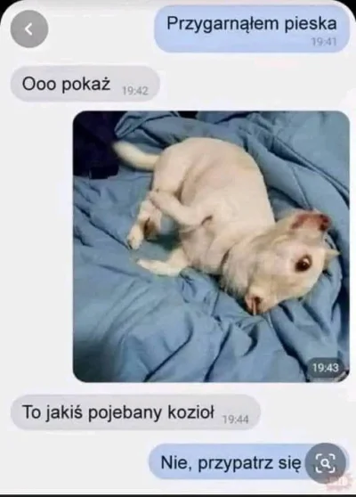 jabol6000 - #heheszki