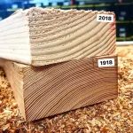 Pan_Slon - Taka ciekawostka nt jakości drewna, teraz i kiedyś 

#budownictwo #stolars...