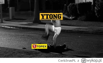 Cerb3rusPL - #konkursnanajbardziejgownianymemznosaczem 

Precz z t0pexem!