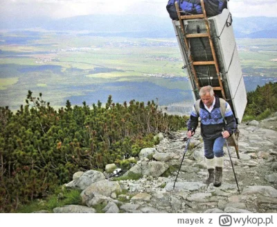 mayek - @tomwick55: Gość by jej wniósł lodówkę i zakupy na cały tydzień za jednym raz...