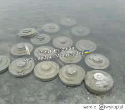waro - Po wysadzeniu tamy w Nowej Kachowce rosyjskie miny są wyrzucane na brzeg

#ukr...