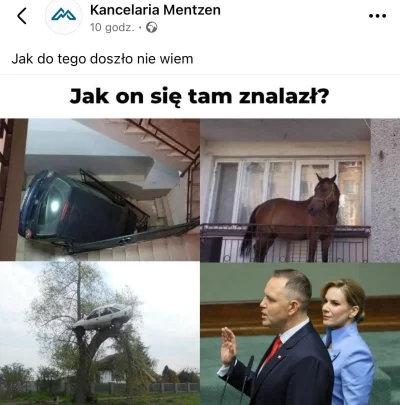 4x80 - #konfederacja #mentzen: Wiecie, że to z oficjalnego konta? :)

Oficjalne konto...