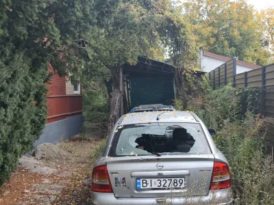 Trytokiss - #kononowicz fotki z zeszlego tygodnia.