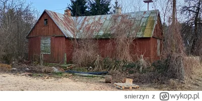 snierzyn - @grand_khavatari: A tak będzie wyglądał po roku doglądania przez Cosno
Chc...