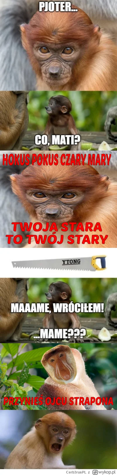 Cerb3rusPL - #konkursnanajbardziejgownianymemznosaczem