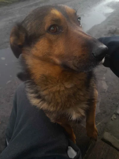 kogutpiejeiglupieje - p0lka nigdy by sie nie spojrzala na chuopa tak jak pimpek bozy ...