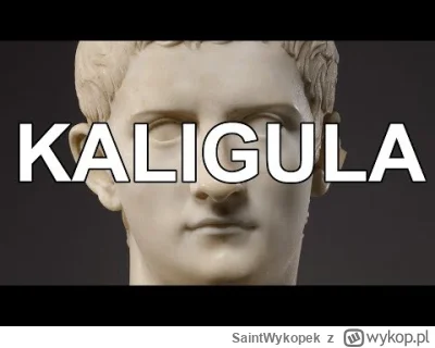 SaintWykopek - Trafiłem na kanał historyczny, którego autor przed wypuszczeniem mater...