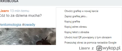 Lixerv - @Szinako: tego z menu kontekstowego? ( ͡º ͜ʖ͡º) hmm, ale widzę że gdy bezpoś...